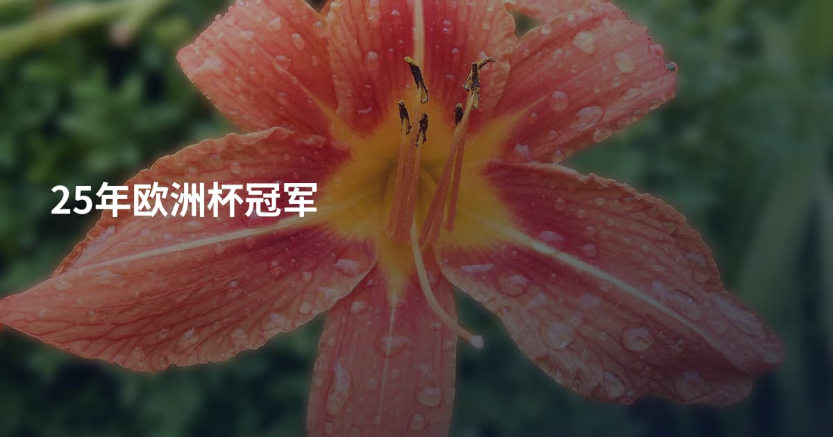 25年欧洲杯冠军