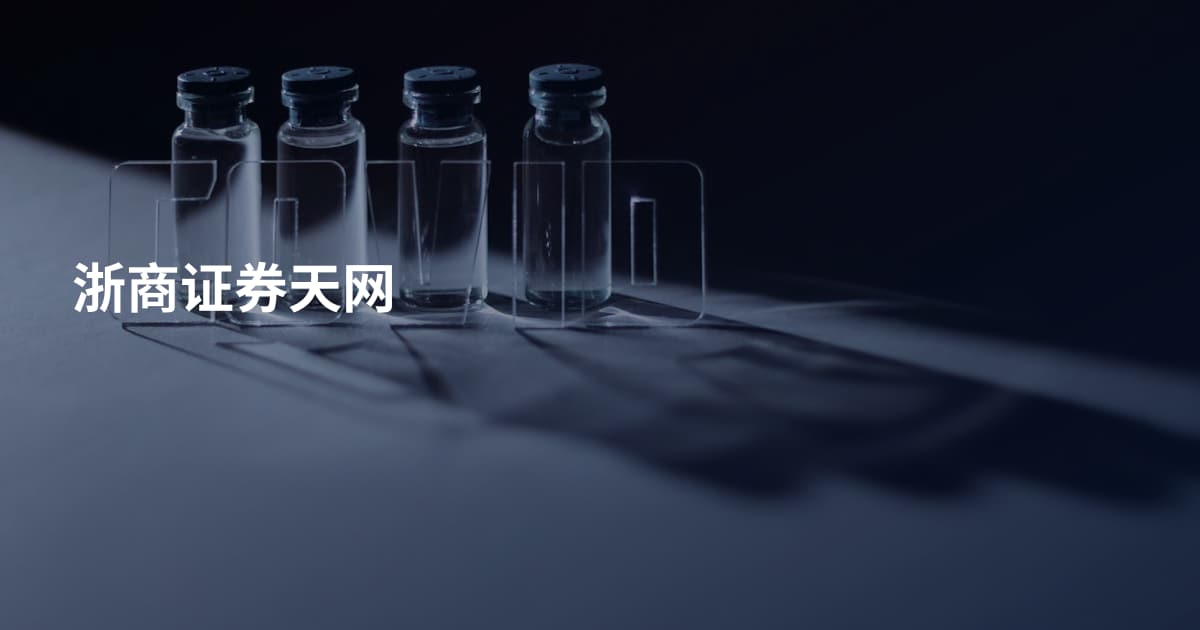 浙商证券天网