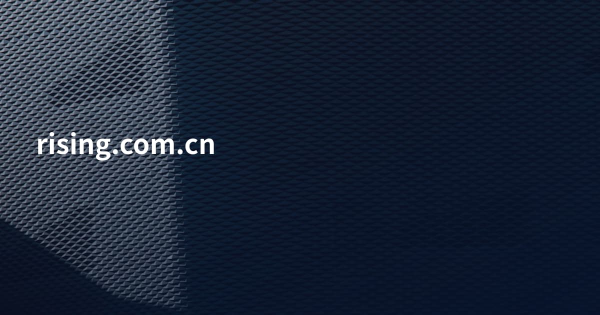rising.com.cn