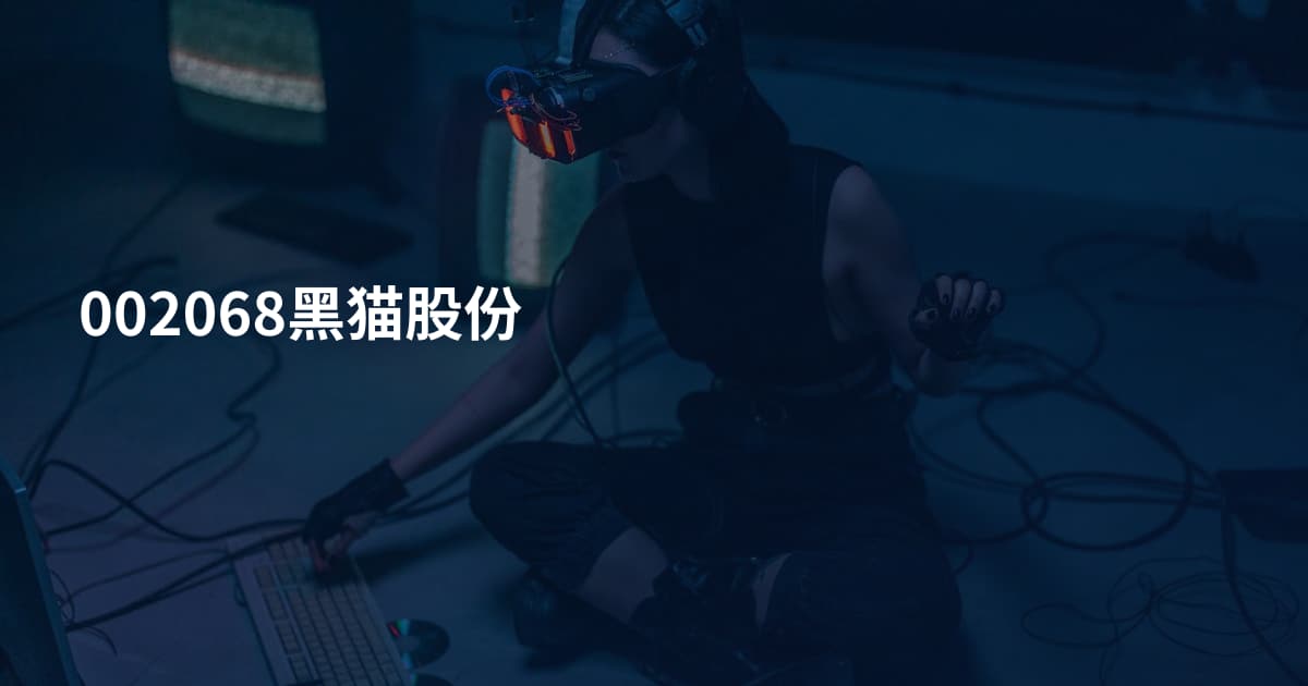 002068黑猫股份