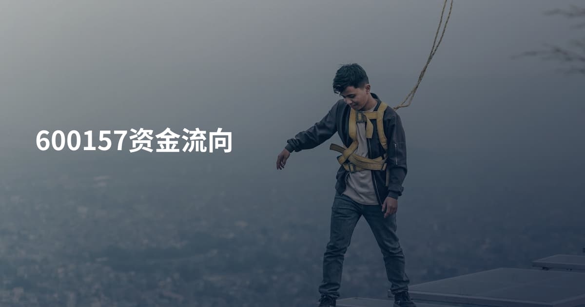 600157资金流向