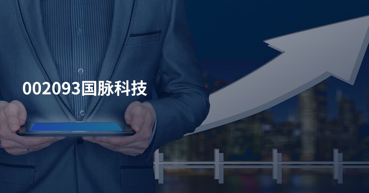 002093国脉科技