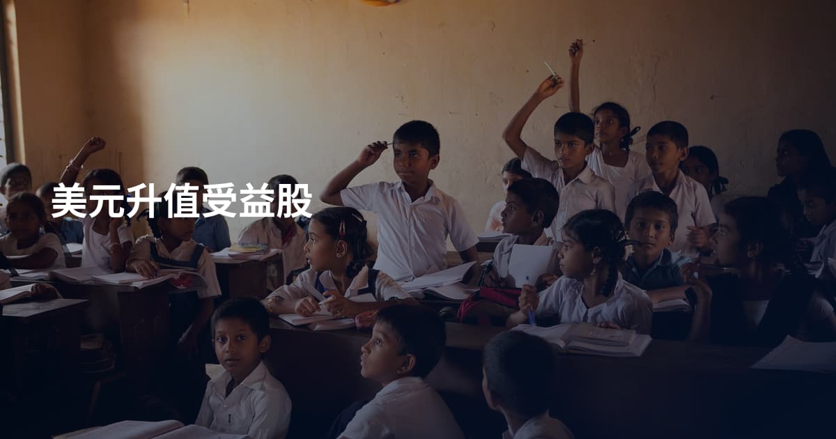 美元升值受益股