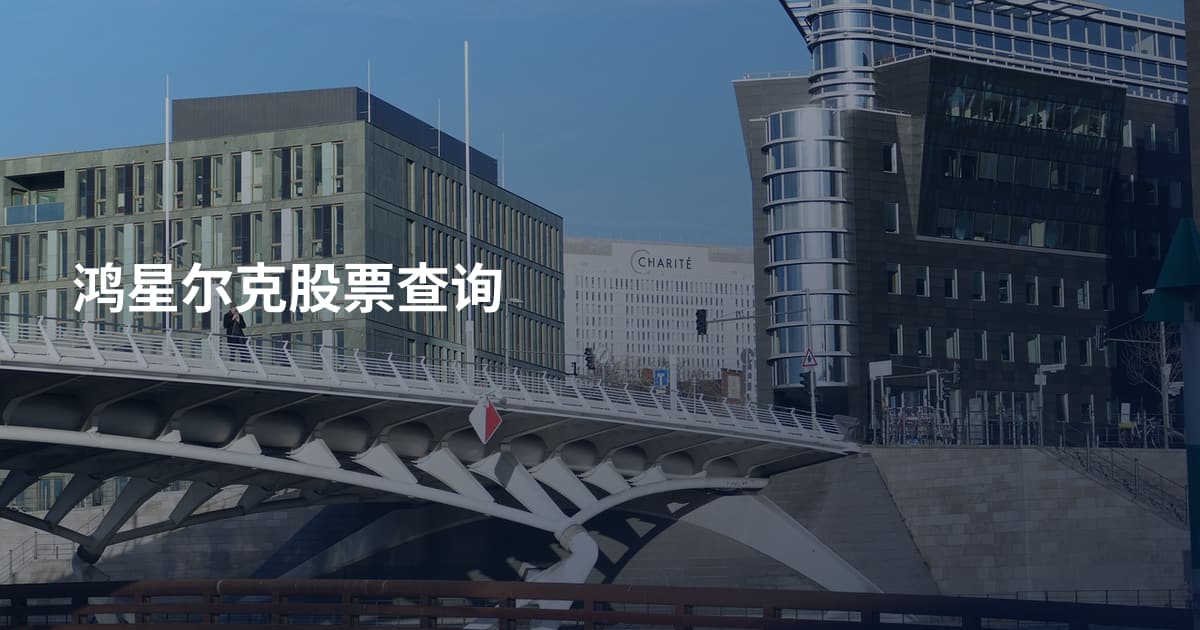 鸿星尔克股票查询