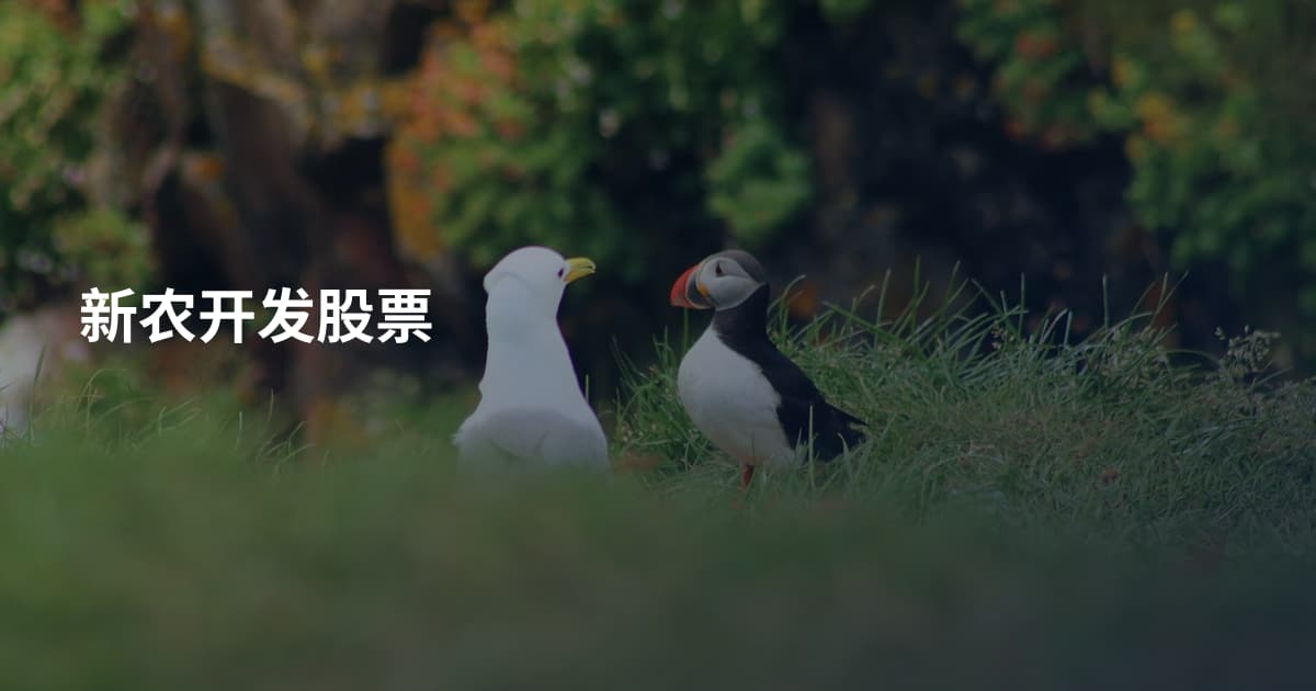 新农开发股票
