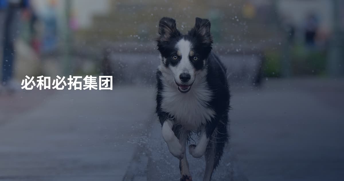 必和必拓集团