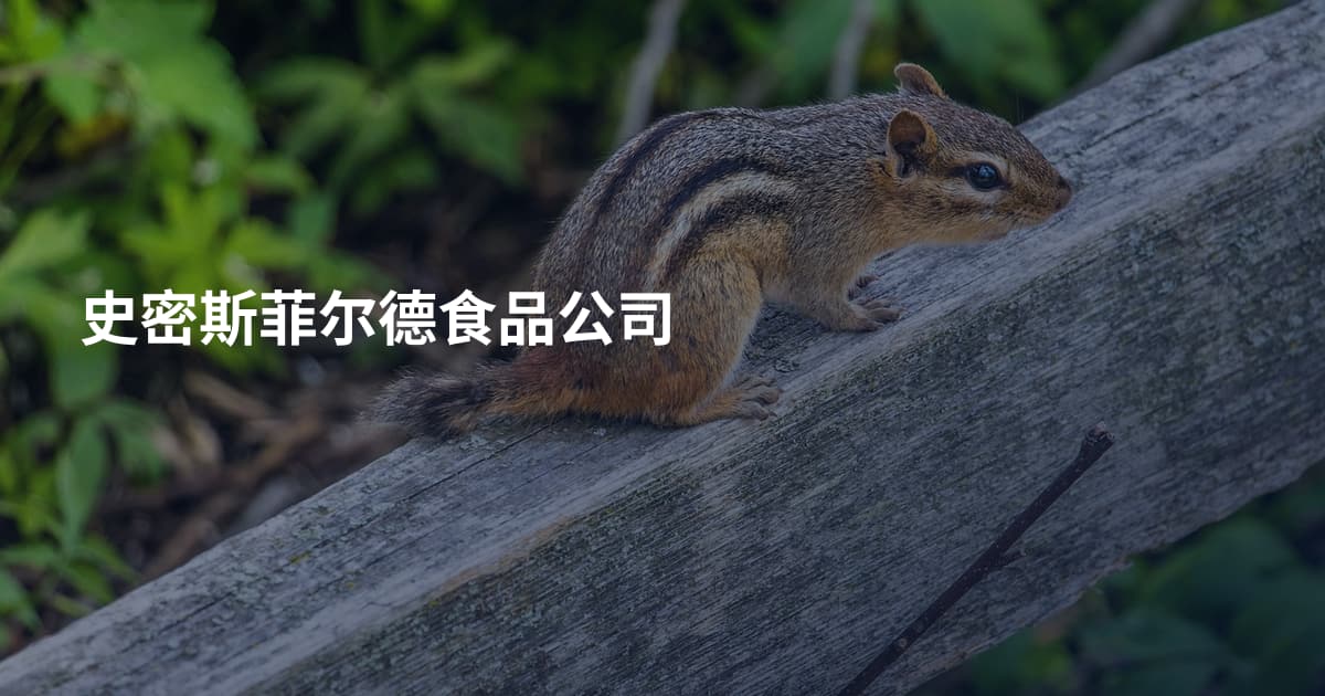 史密斯菲尔德食品公司