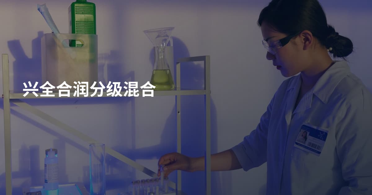 兴全合润分级混合