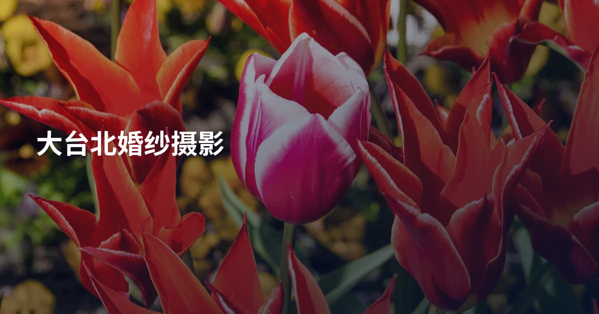 大台北婚纱摄影