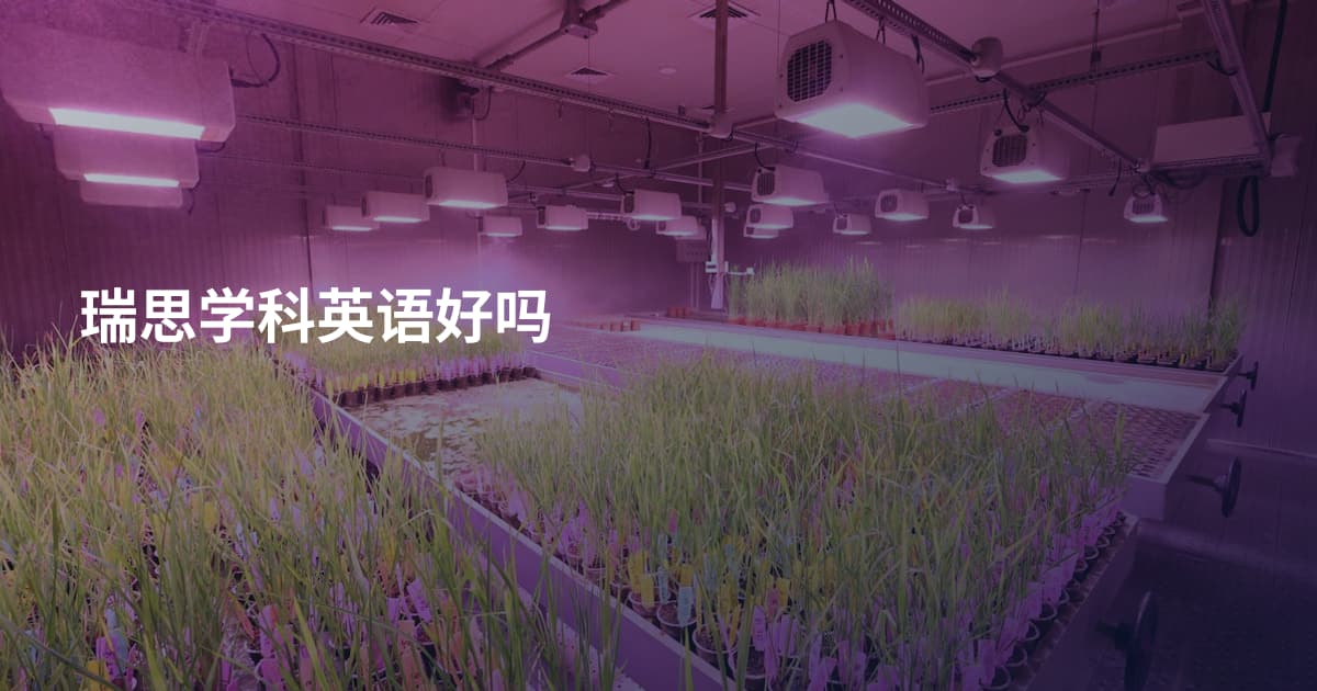 瑞思学科英语好吗