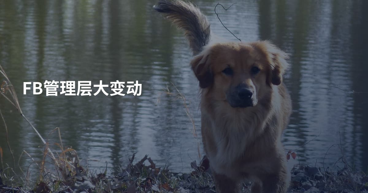 FB管理层大变动