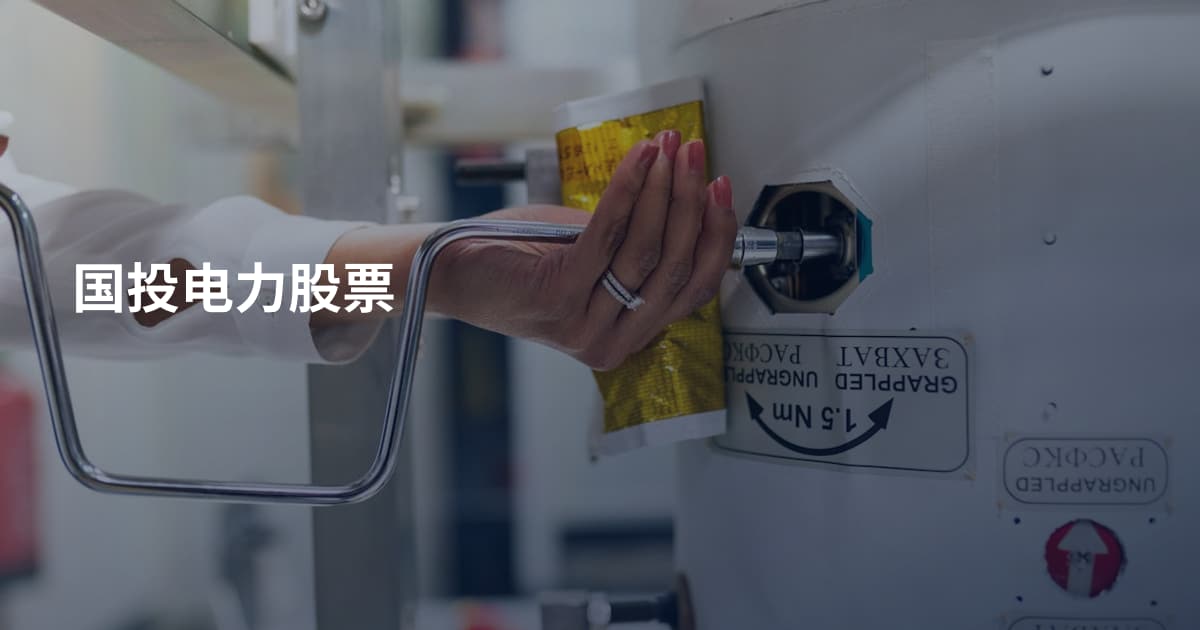 国投电力股票