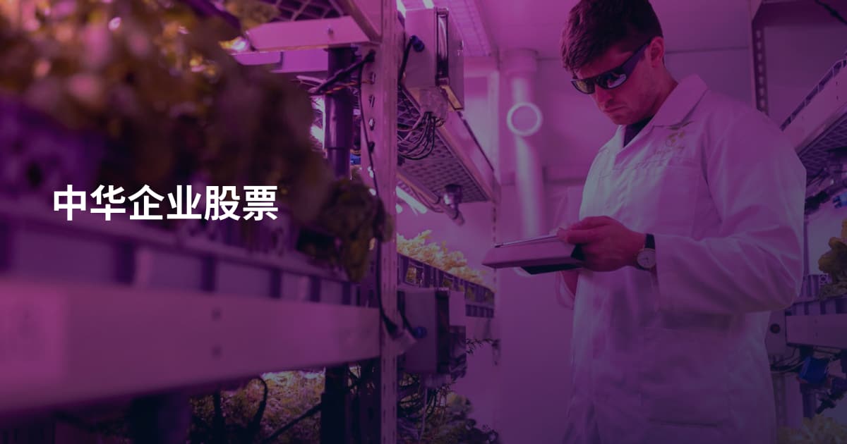 中华企业股票