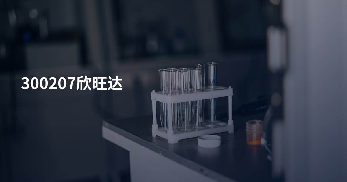 300207欣旺达