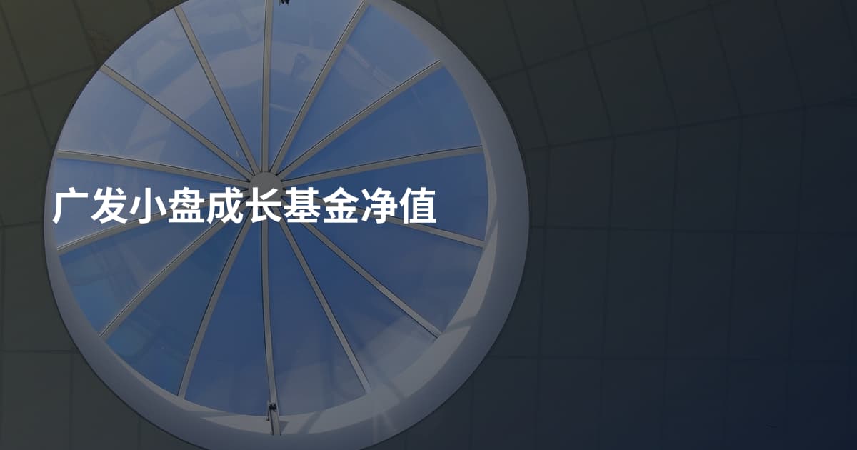 广发小盘成长基金净值