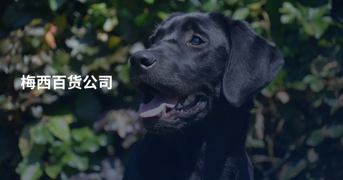 梅西百货公司