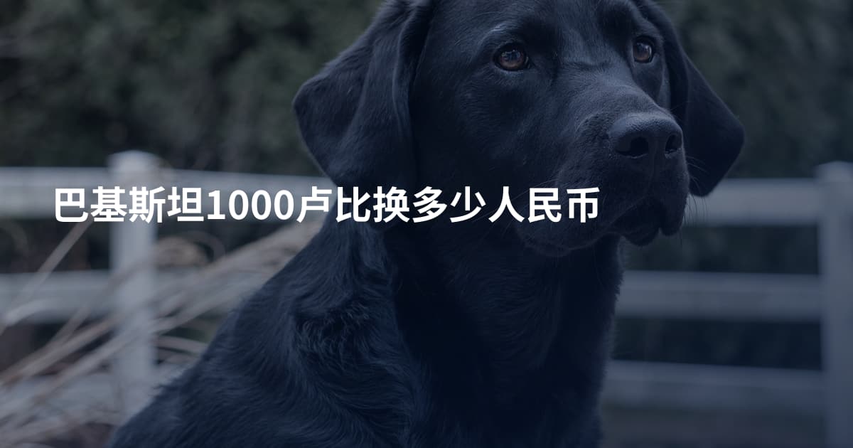 巴基斯坦1000卢比换多少人民币