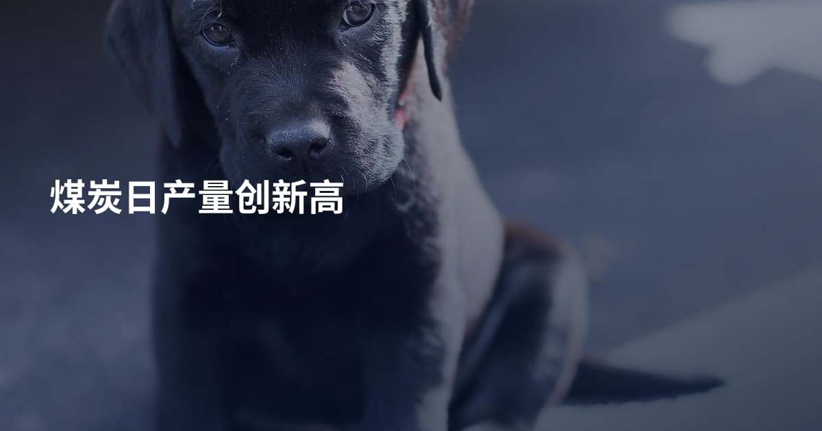 煤炭日产量创新高