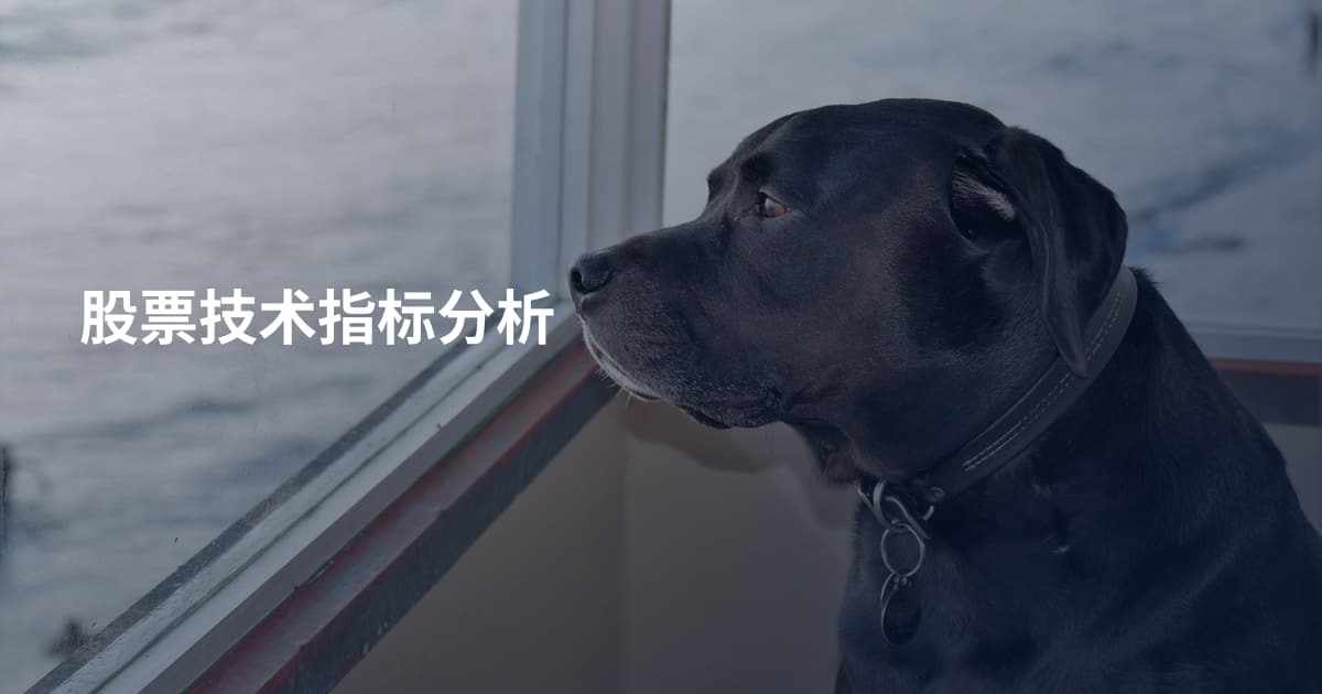 股票技术指标分析
