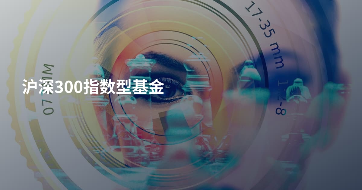 沪深300指数型基金