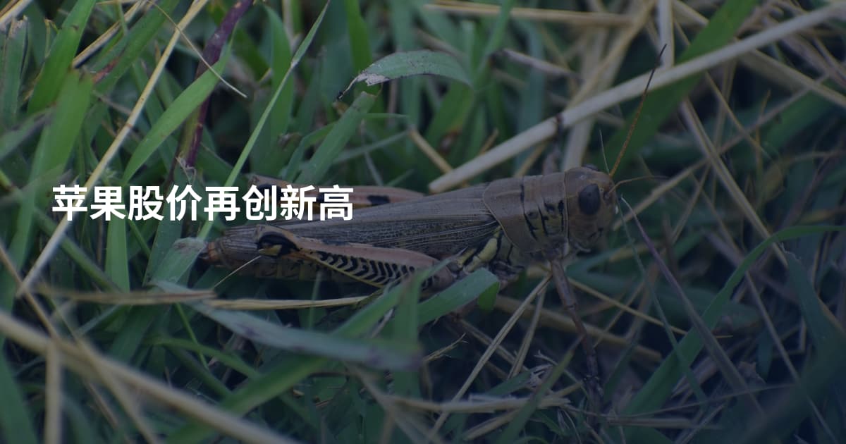 苹果股价再创新高