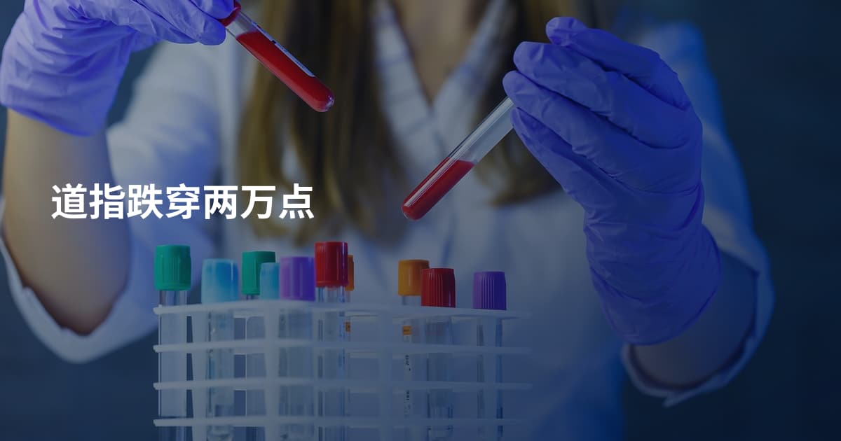 道指跌穿两万点