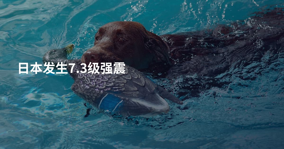 日本发生7.3级强震