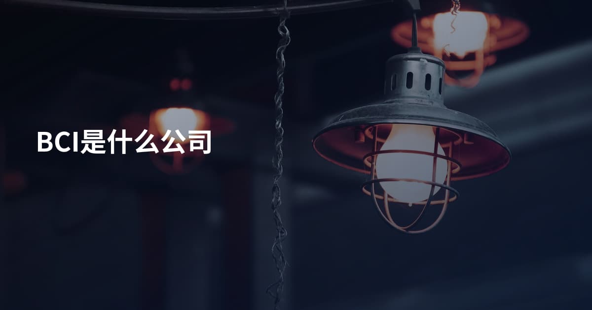 BCI是什么公司