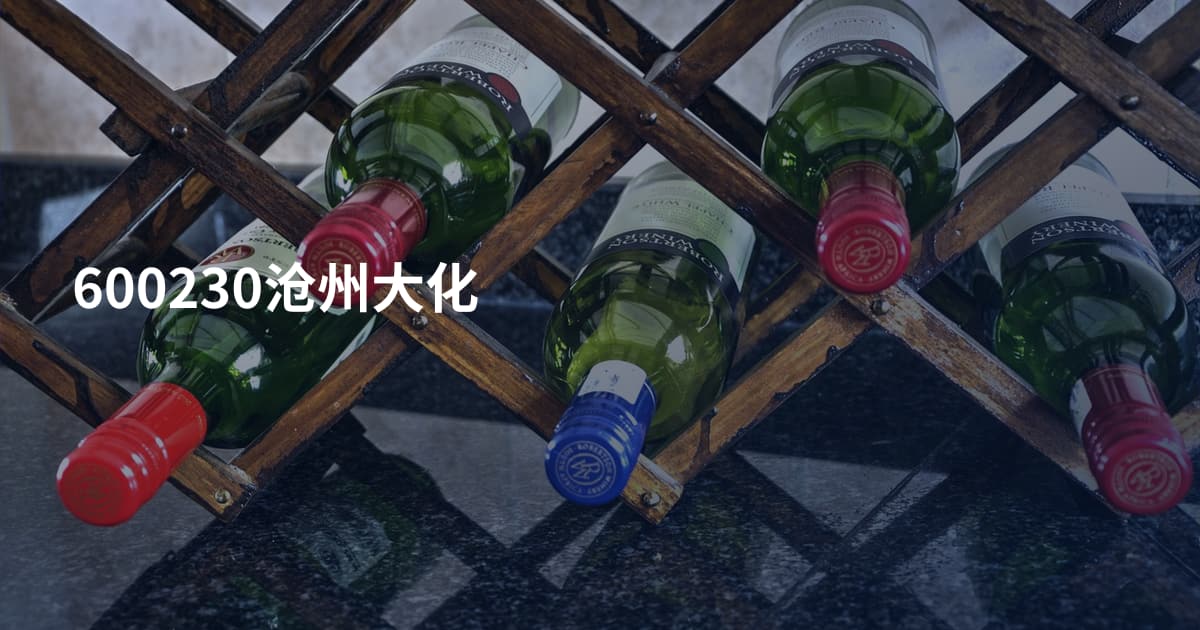 600230沧州大化