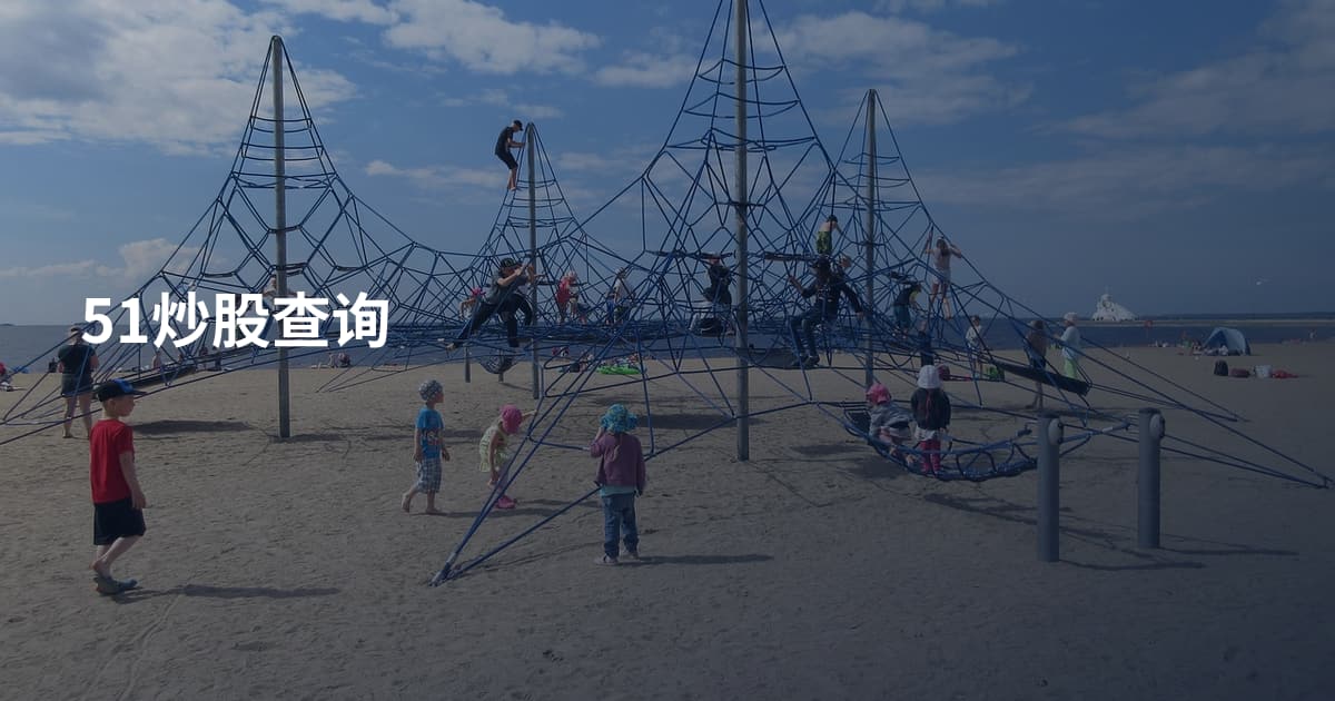51炒股查询