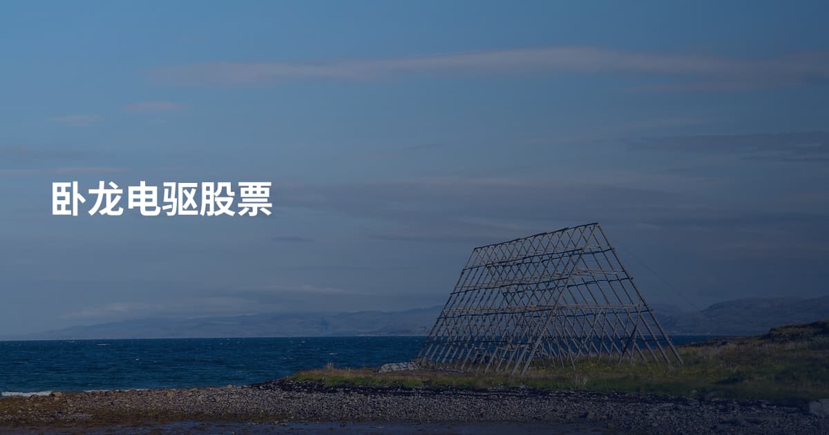 卧龙电驱股票