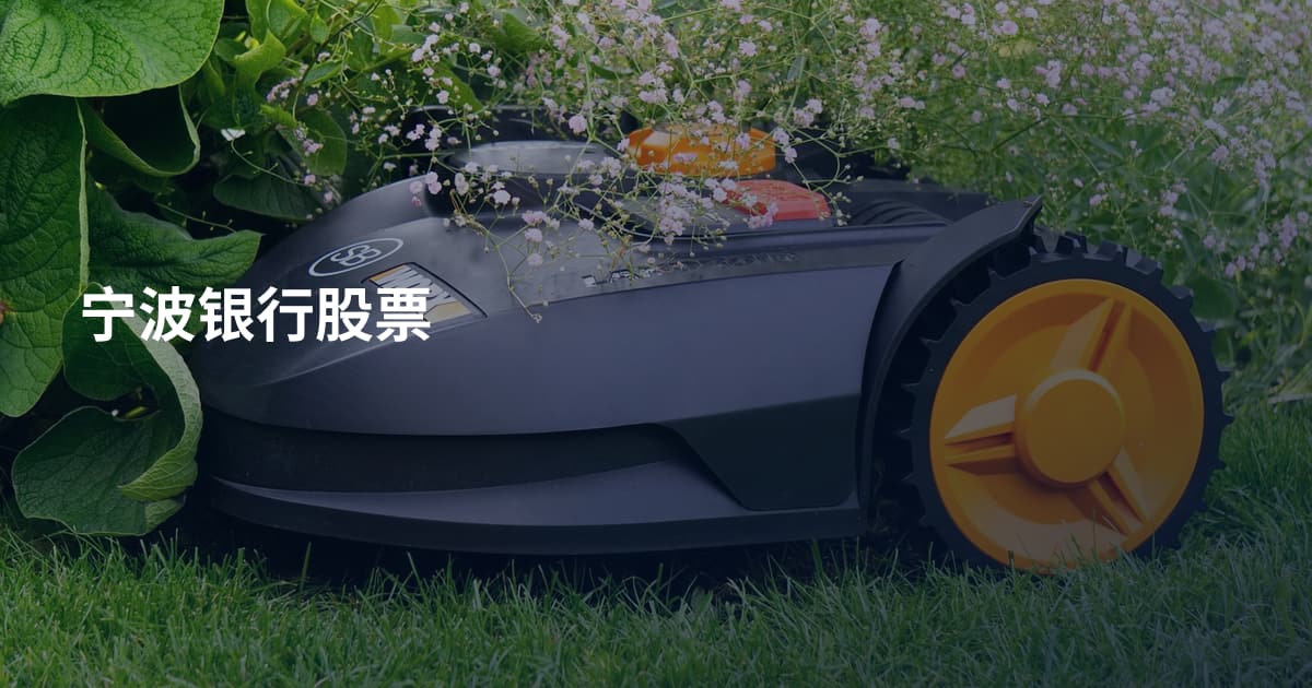 宁波银行股票