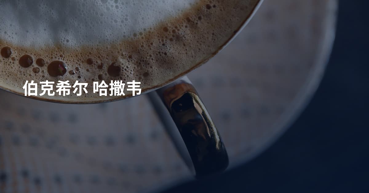 伯克希尔 哈撒韦
