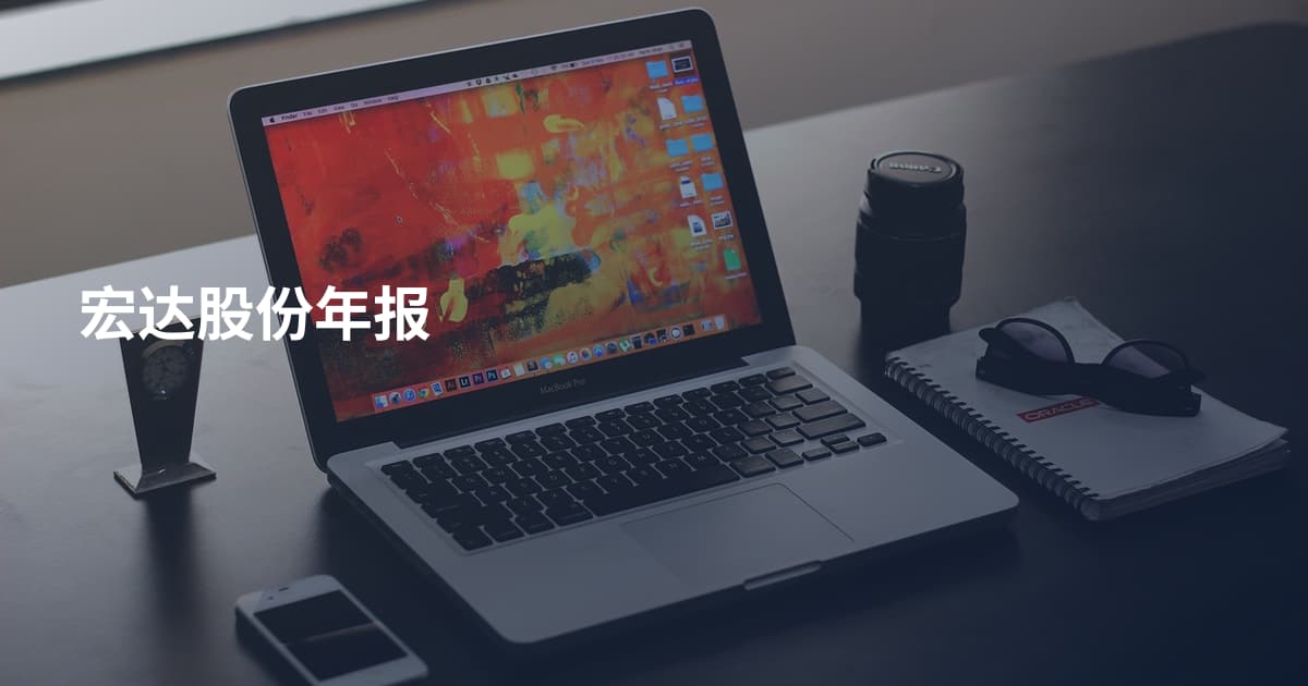 宏达股份年报