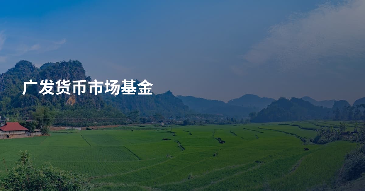 广发货币市场基金