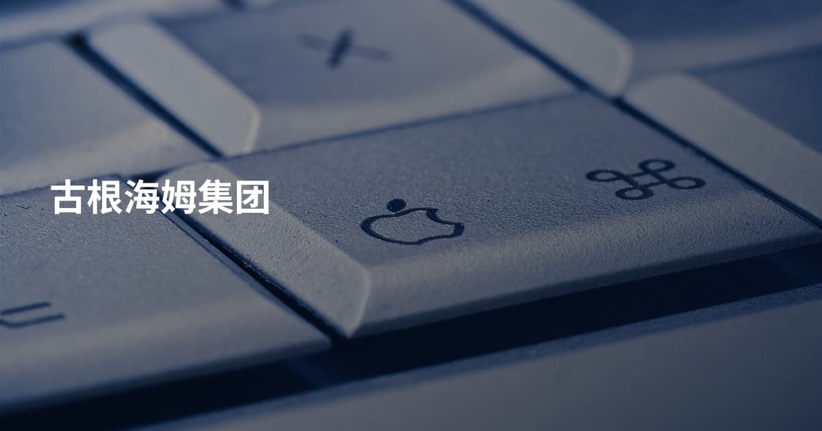 古根海姆集团
