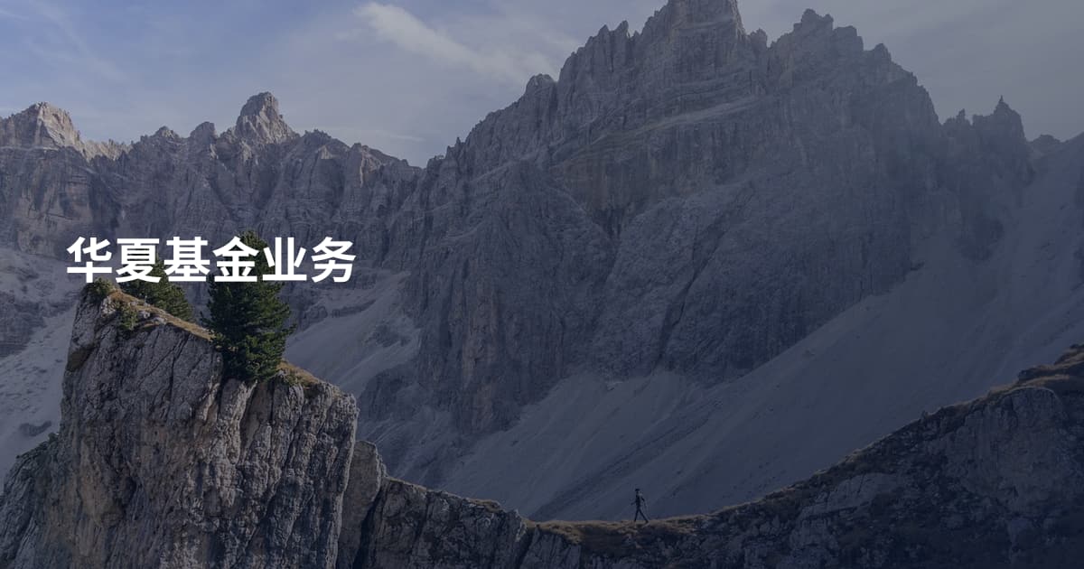 华夏基金业务