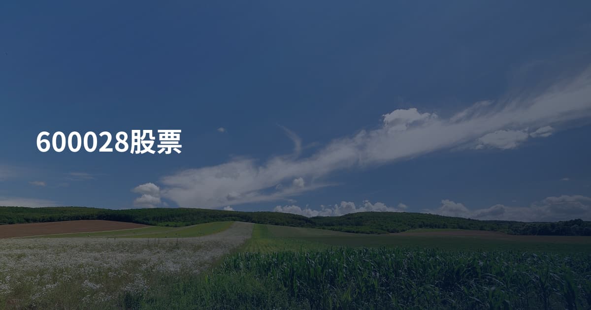600028股票