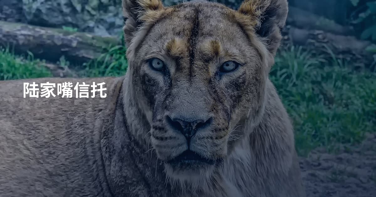 陆家嘴信托