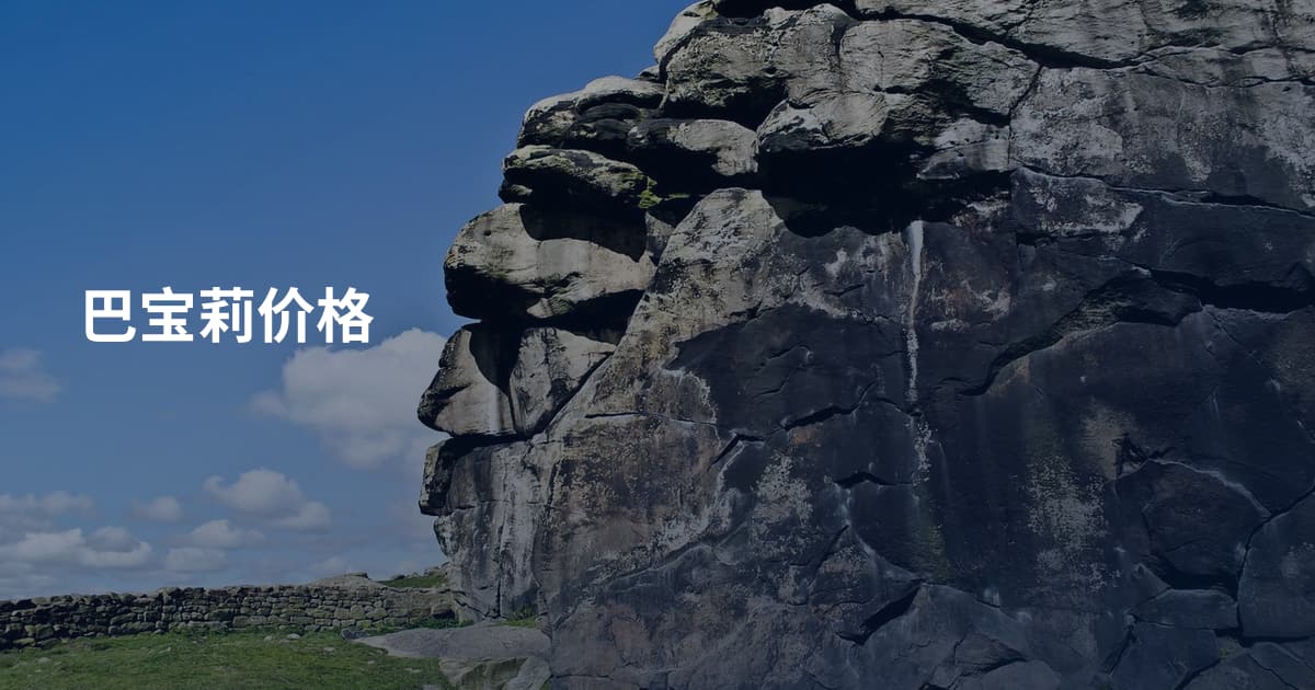 巴宝莉价格