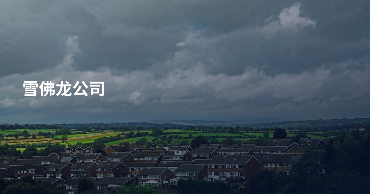 雪佛龙公司