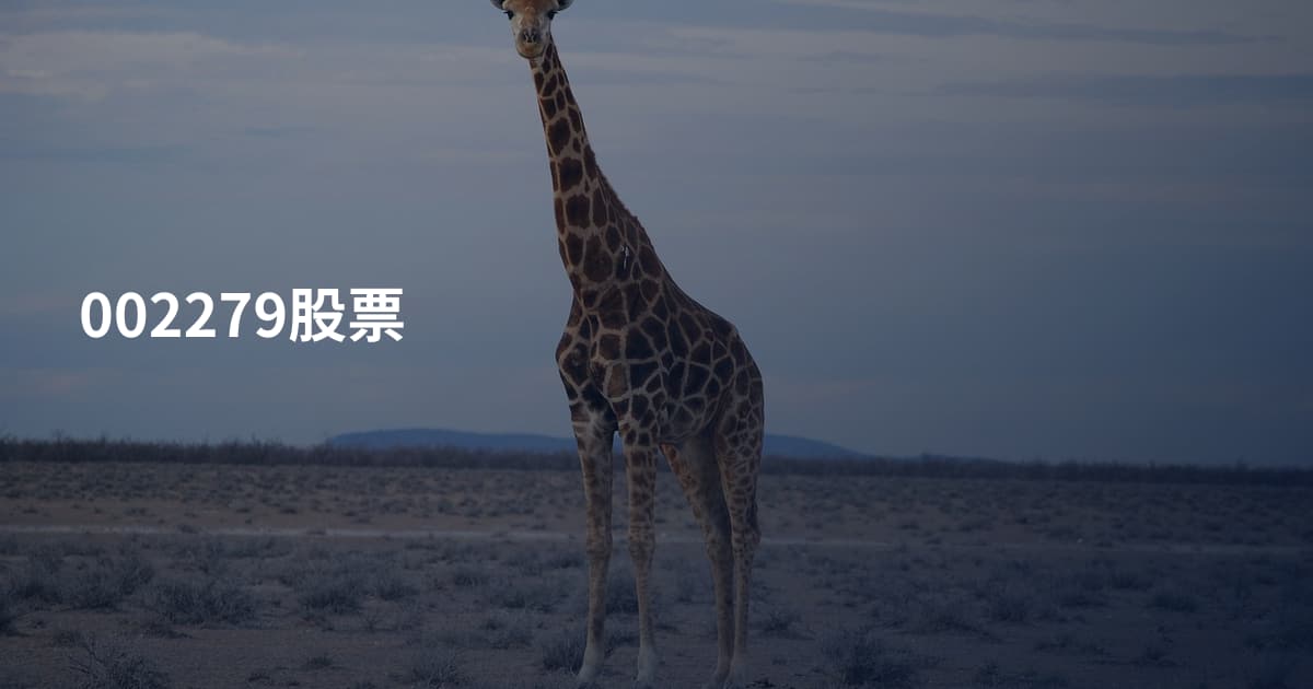 002279股票