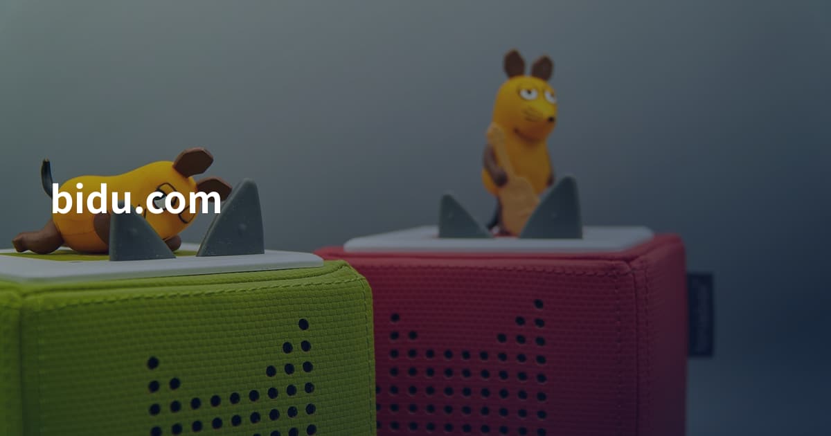 bidu.com