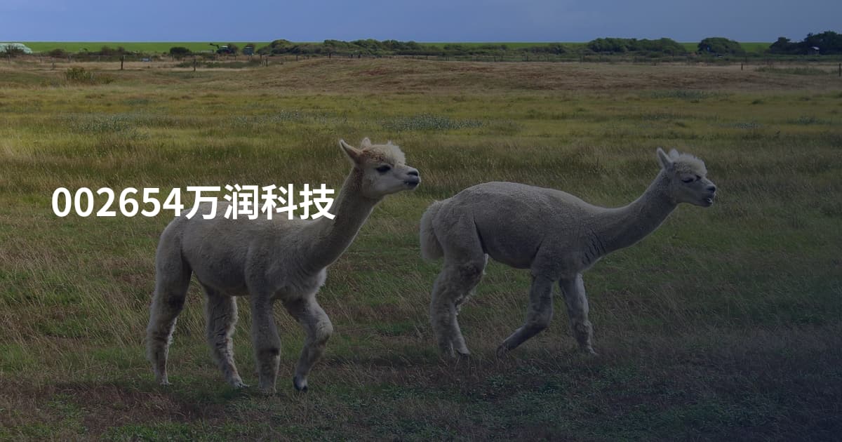 002654万润科技