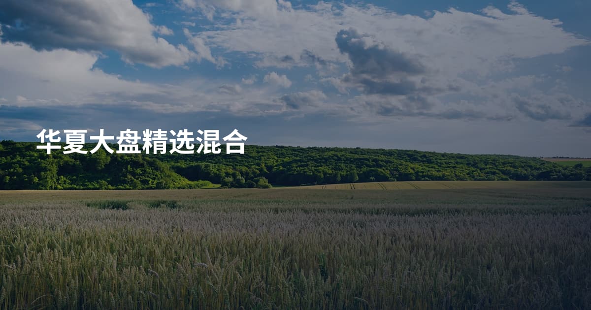 华夏大盘精选混合
