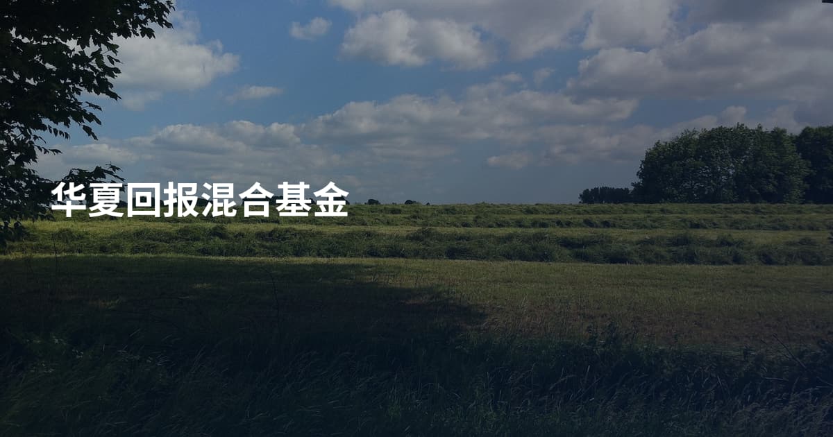 华夏回报混合基金