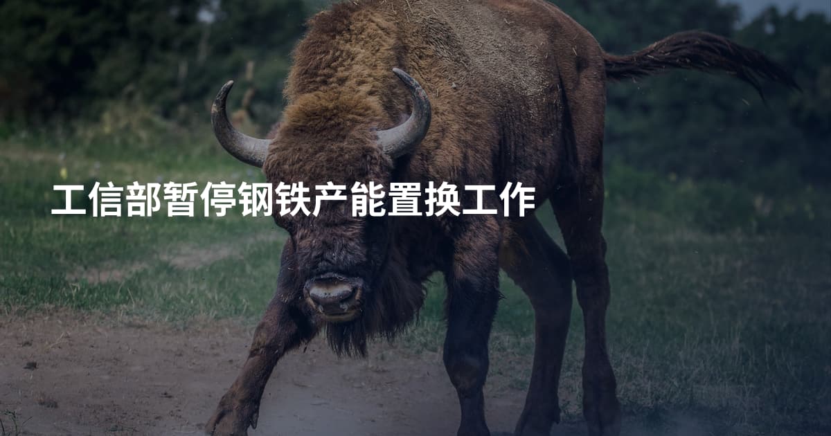 工信部暂停钢铁产能置换工作