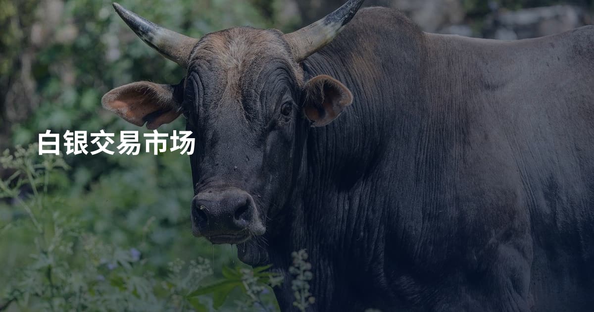 白银交易市场