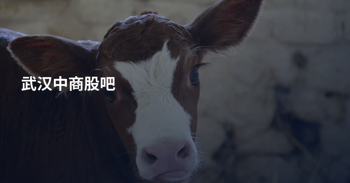 武汉中商股吧