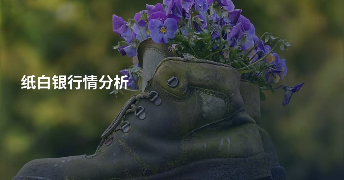纸白银行情分析